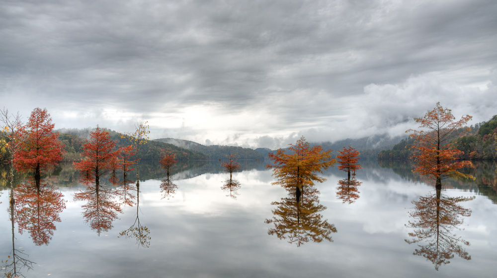 Autumn Reflections-.jpg