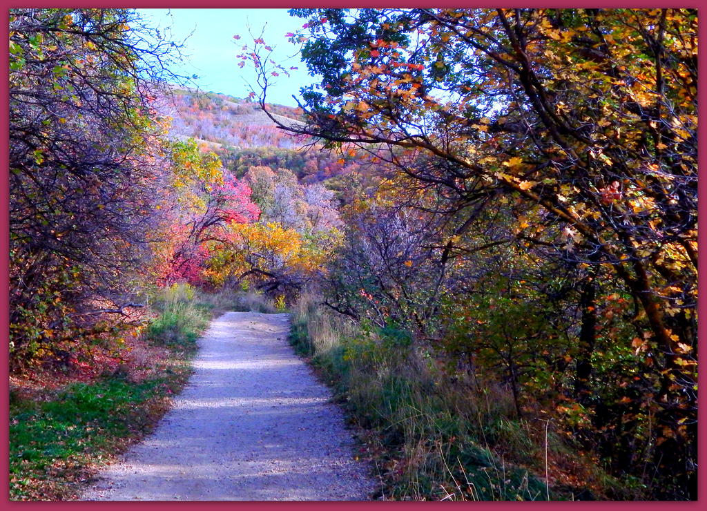 Autumn Trail in the Mountains.jpg