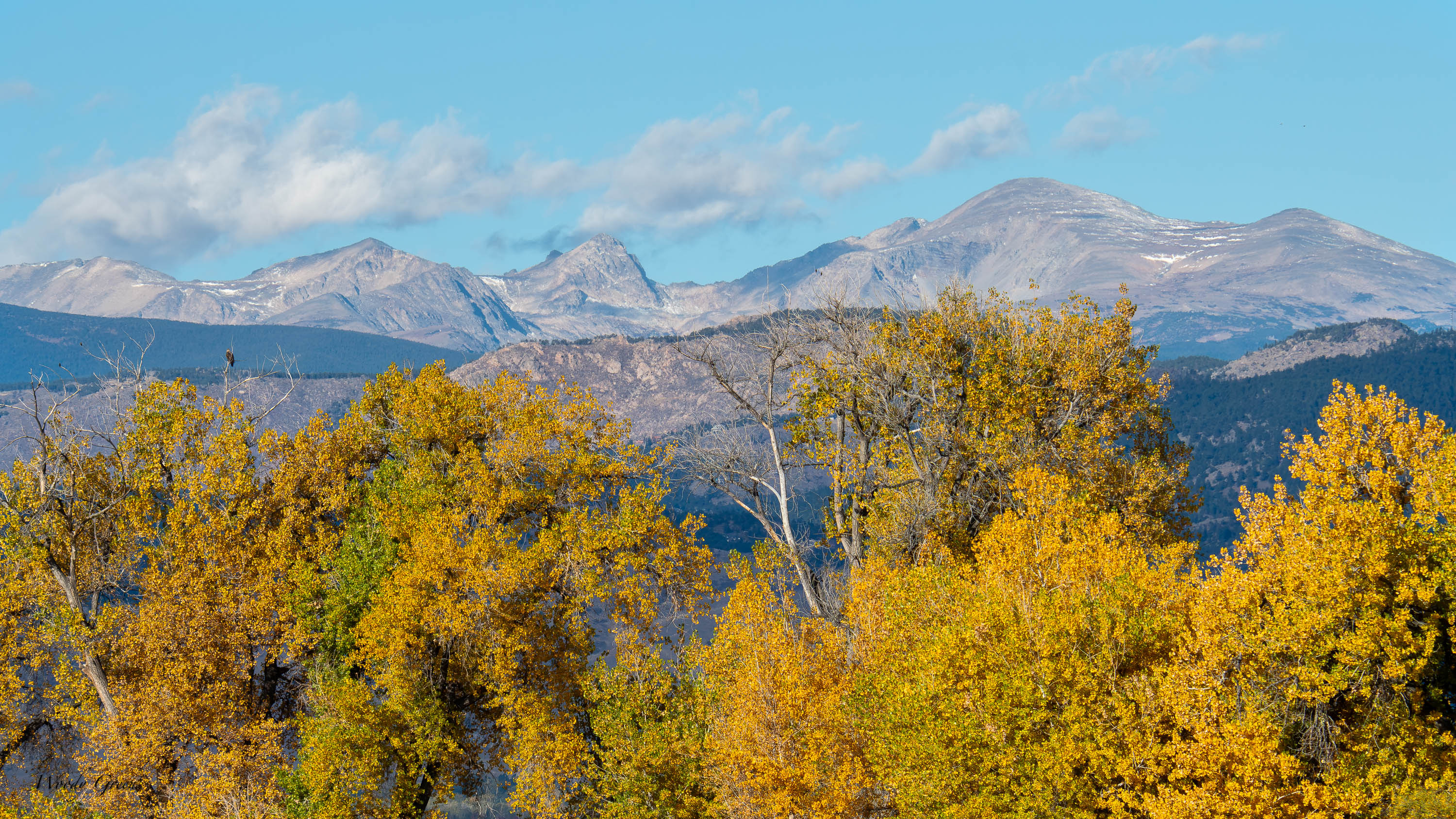 AutumnColorado-770.jpg