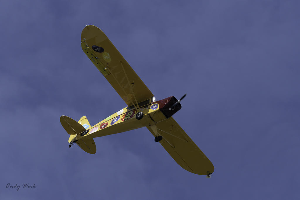 AW5_1834.jpg