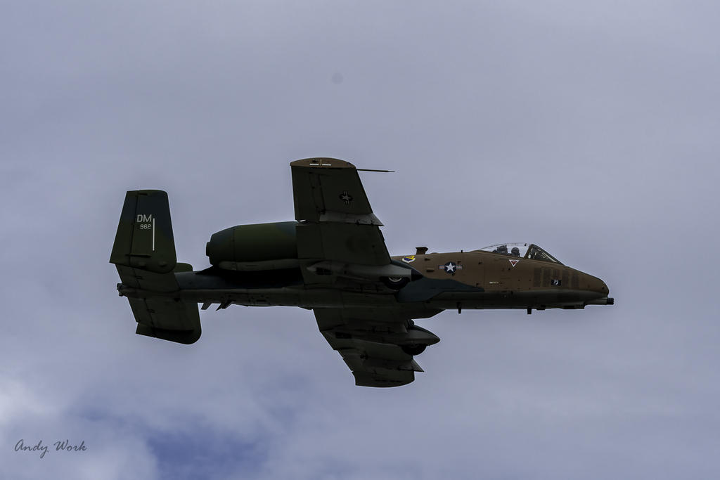AW5_2101.jpg