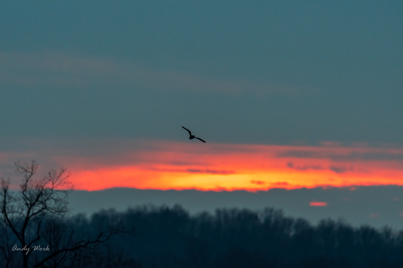 AW5_3919.jpg