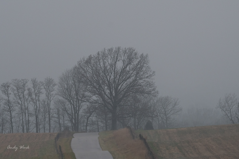 AW5_3938-Edit.jpg
