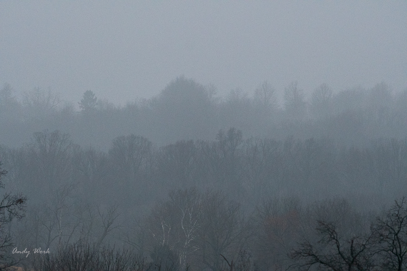 AW5_3942.jpg
