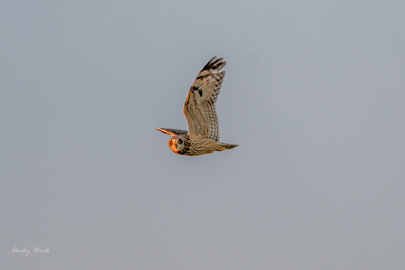 AW5_4270-Edit.jpg