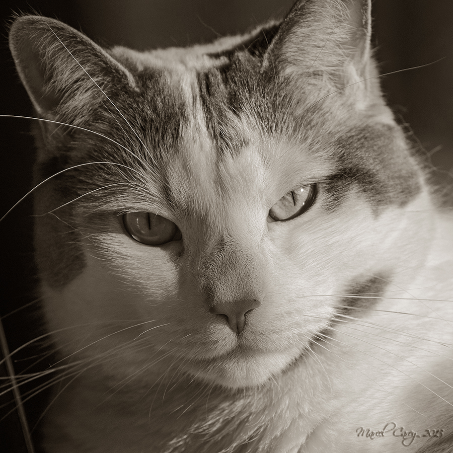 B&W march9th.jpg