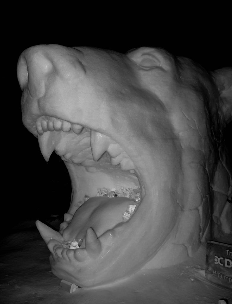B-W Roar.jpg