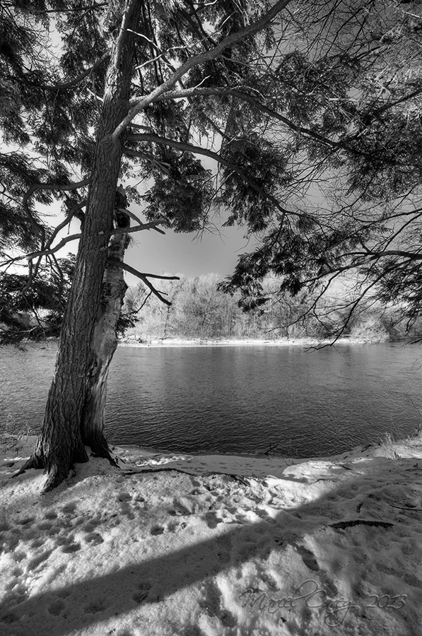 B&W winter scene.jpg