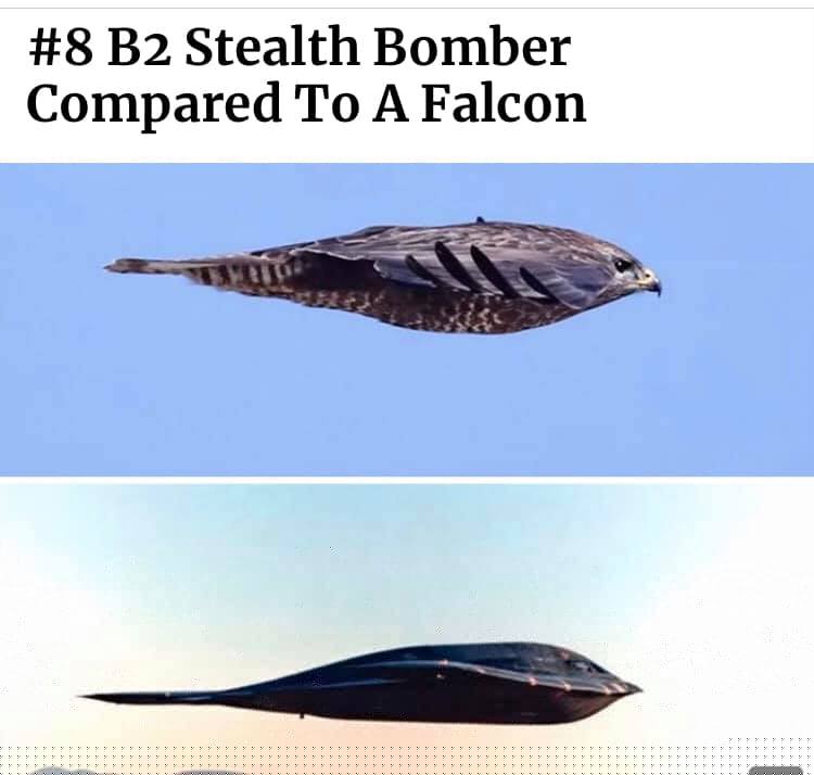 b2falcon.jpg