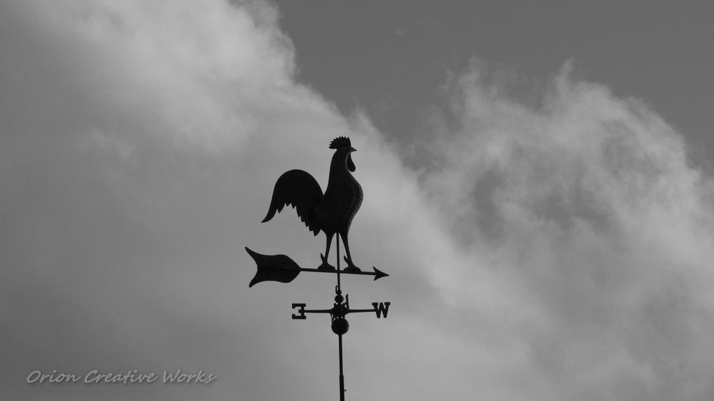 b_IMG_4364.jpg