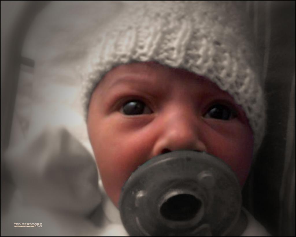Baby Sage.jpg