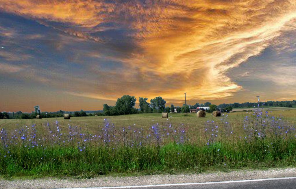 bails of hay copy.jpg