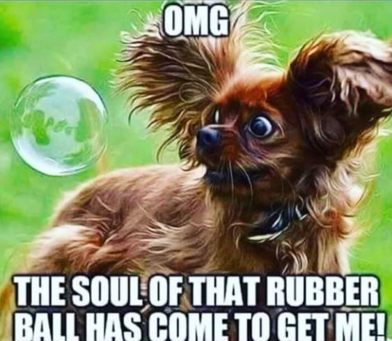 ball.JPG