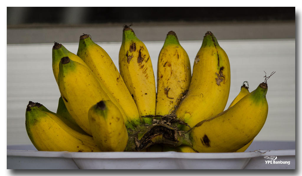 banana-plate.jpg