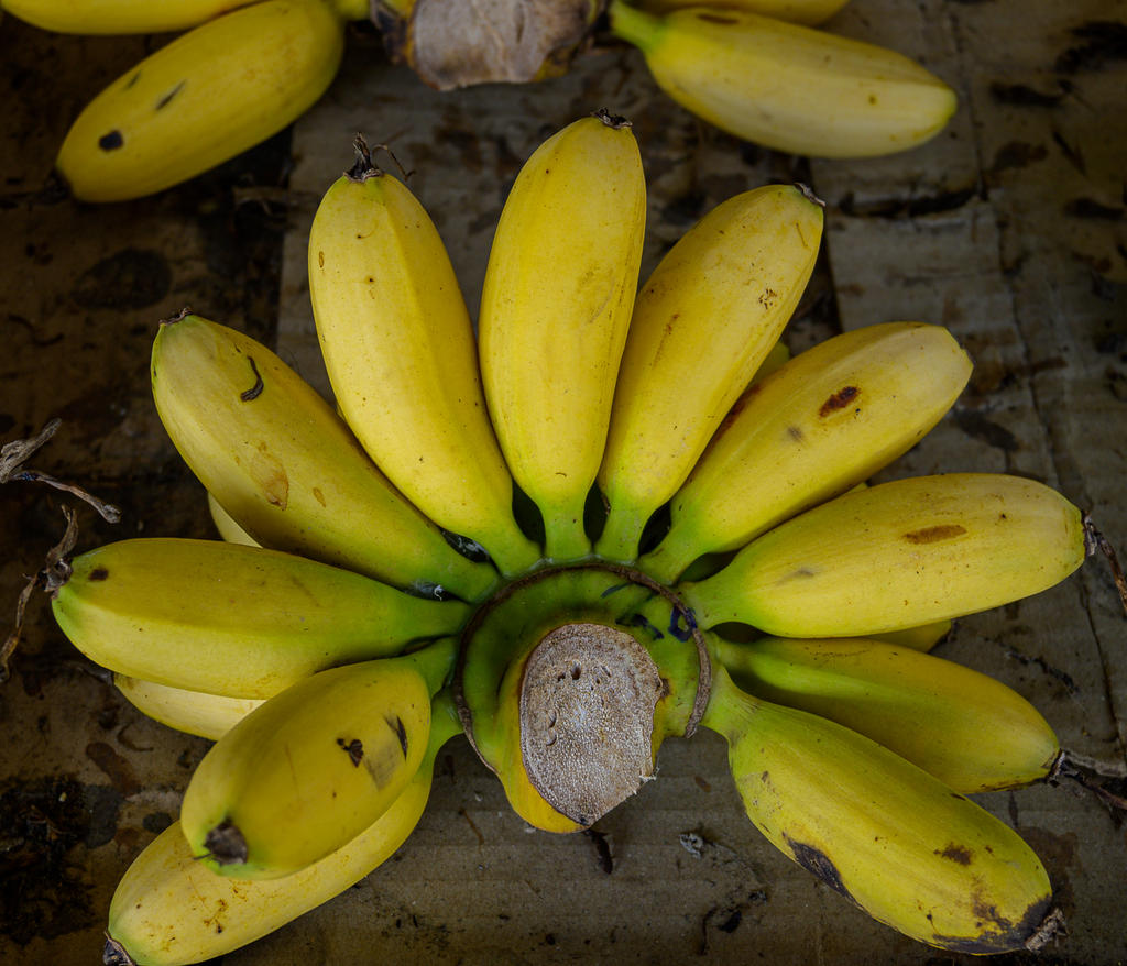 bananas-1.jpg