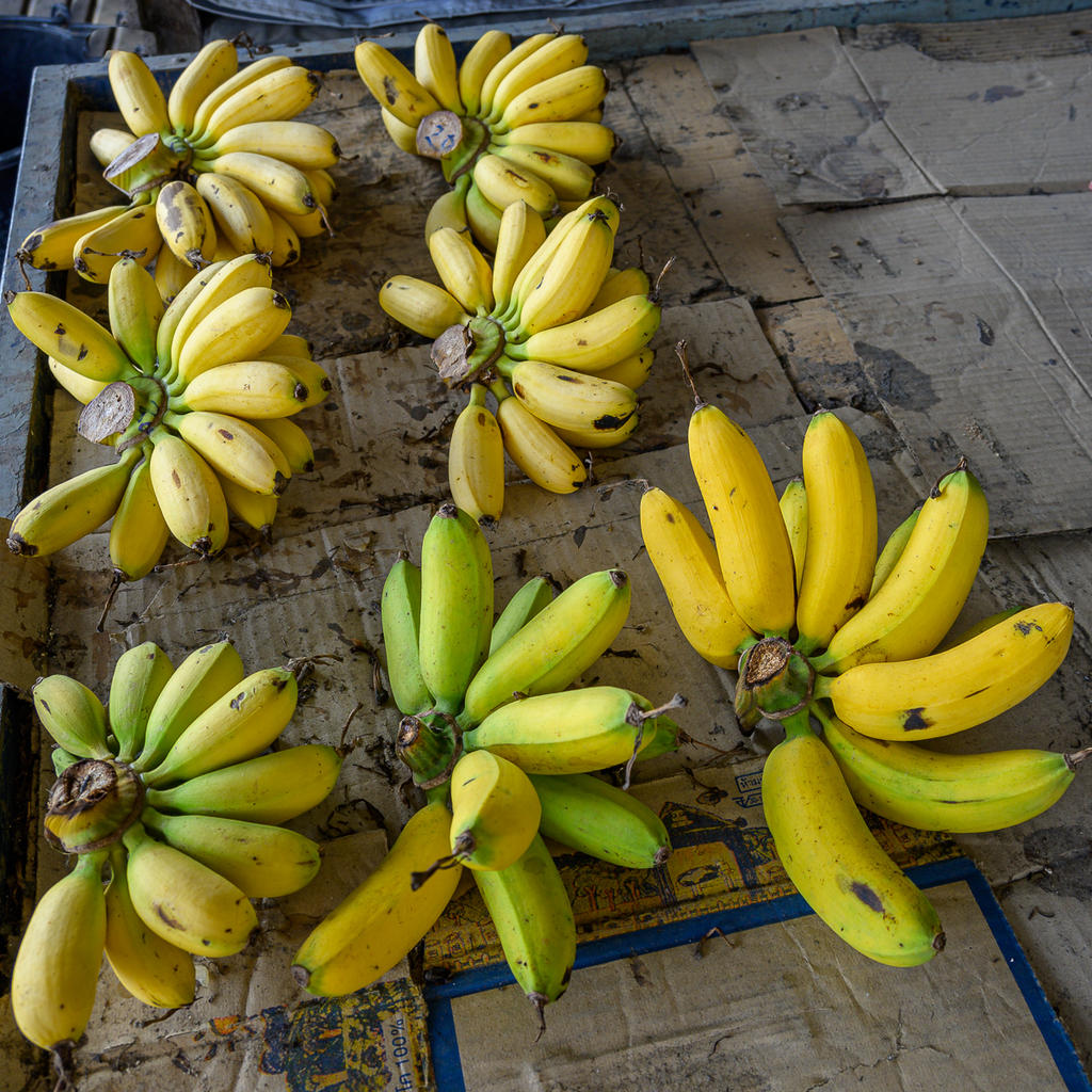 bananas-2.jpg