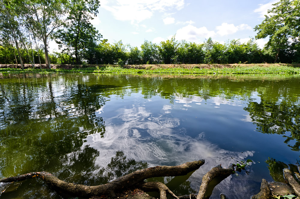 banbuengtwmple2-10.jpg