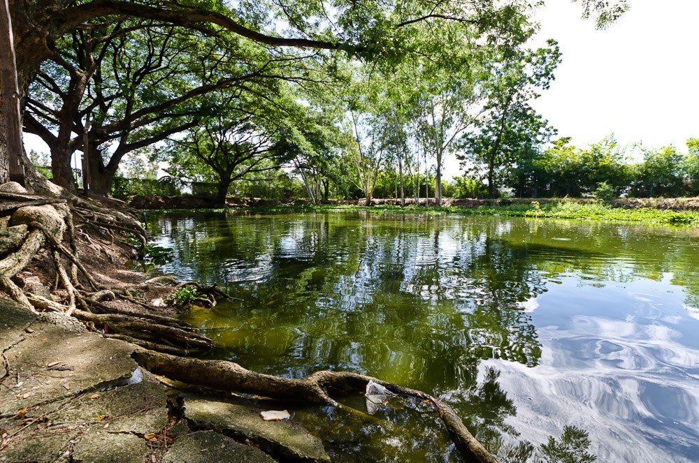 banbuengtwmple2-12.jpg