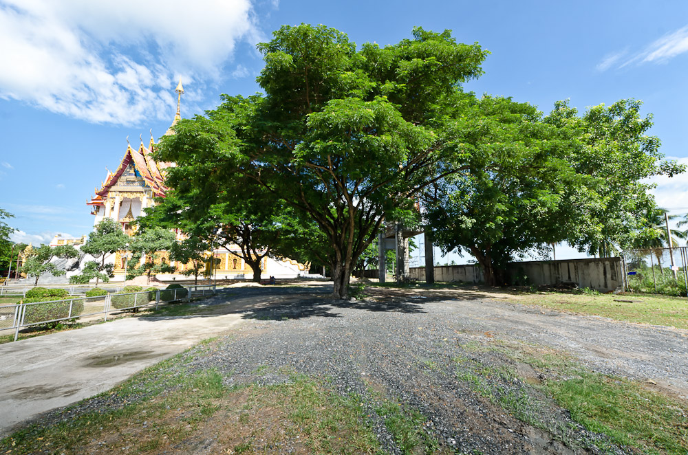 banbuengtwmple2-4.jpg