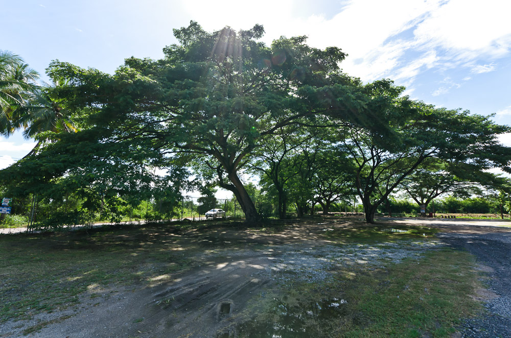banbuengtwmple2-5.jpg