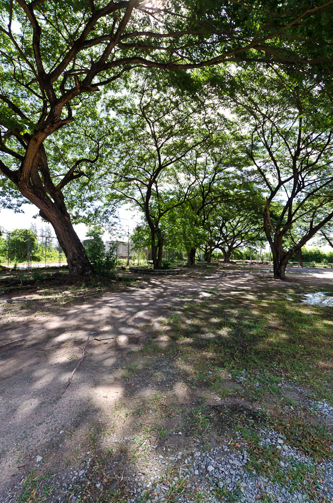 banbuengtwmple2-6.jpg