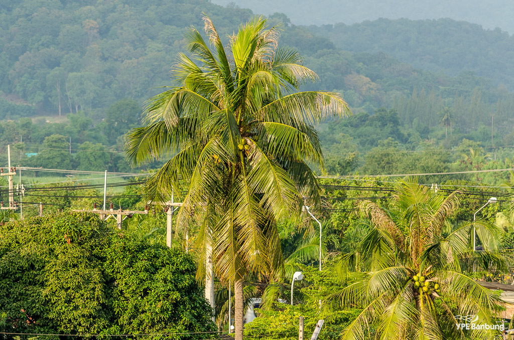 banbung-morning-shots-2.jpg