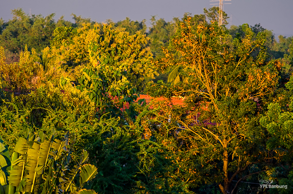 banbung-sunset3-5.jpg