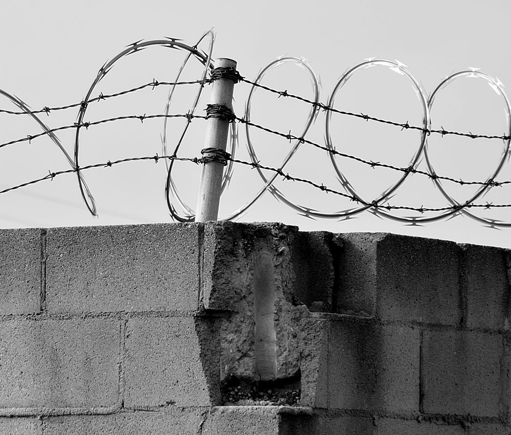 Barbed.jpg