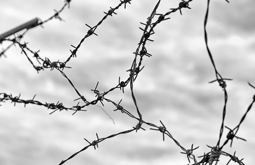 Barbed-wire-1.jpg
