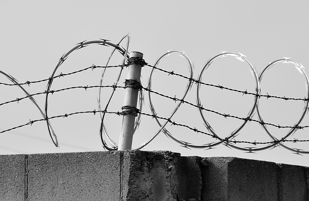 Barbed3.jpg