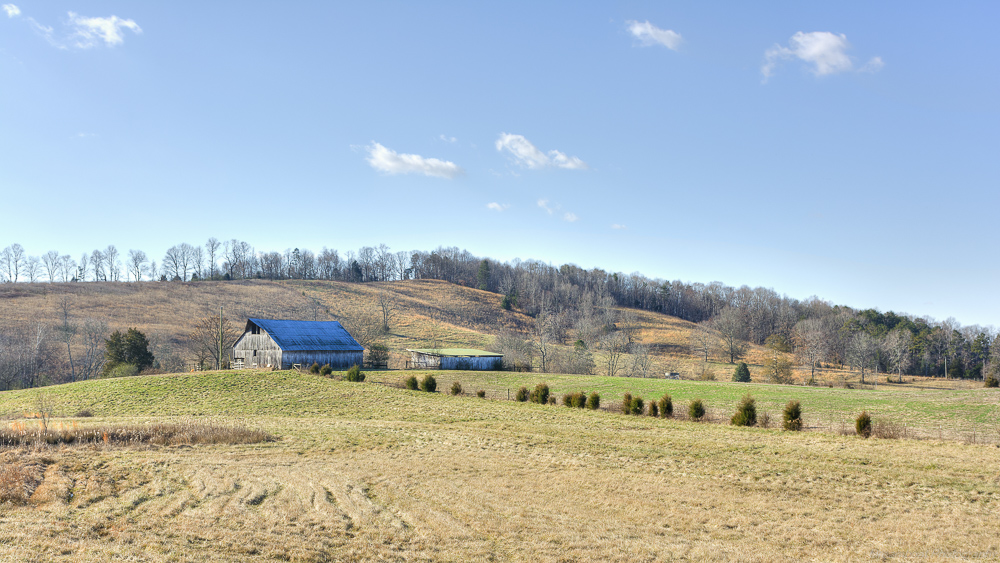 barn--4.jpg