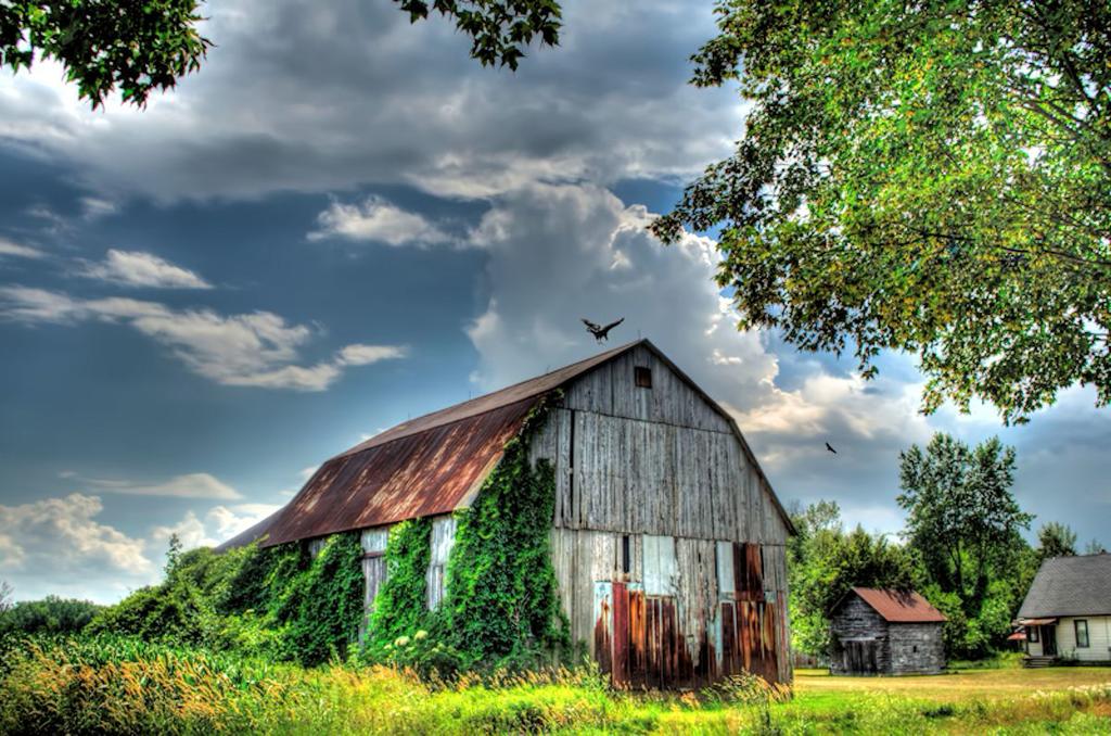 barn HDR_tonemapped with buzzards800.jpg