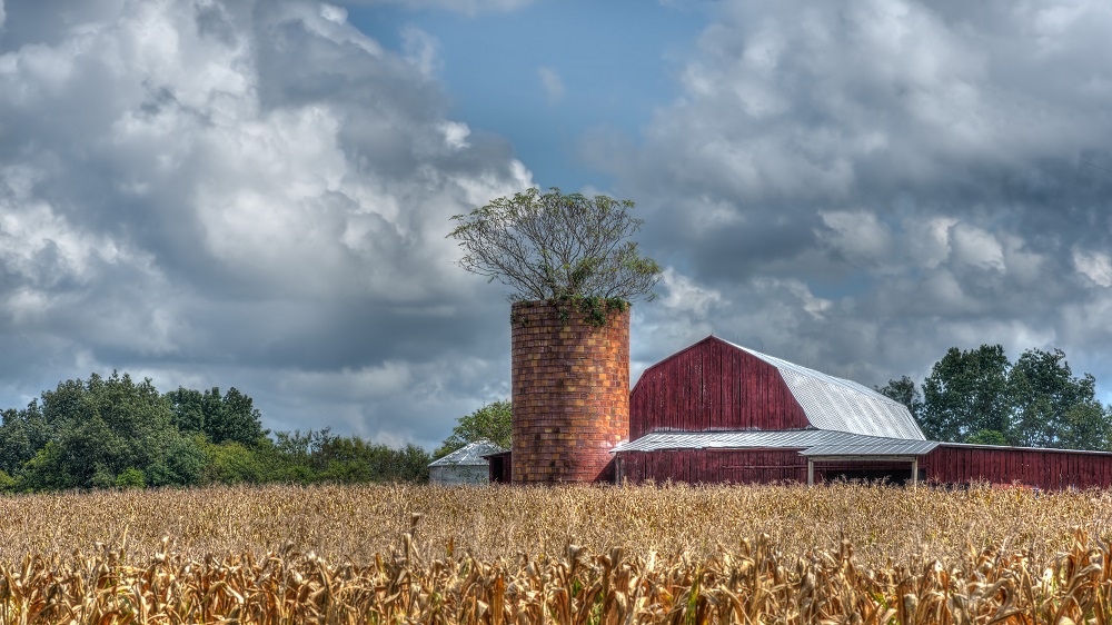 barn.jpg