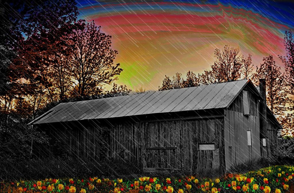 Barn scene  flowers_pe_pe_pe.jpg