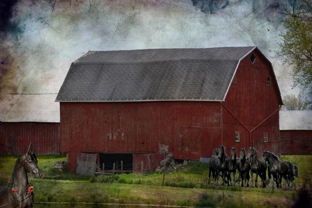 barn with horses.jpg