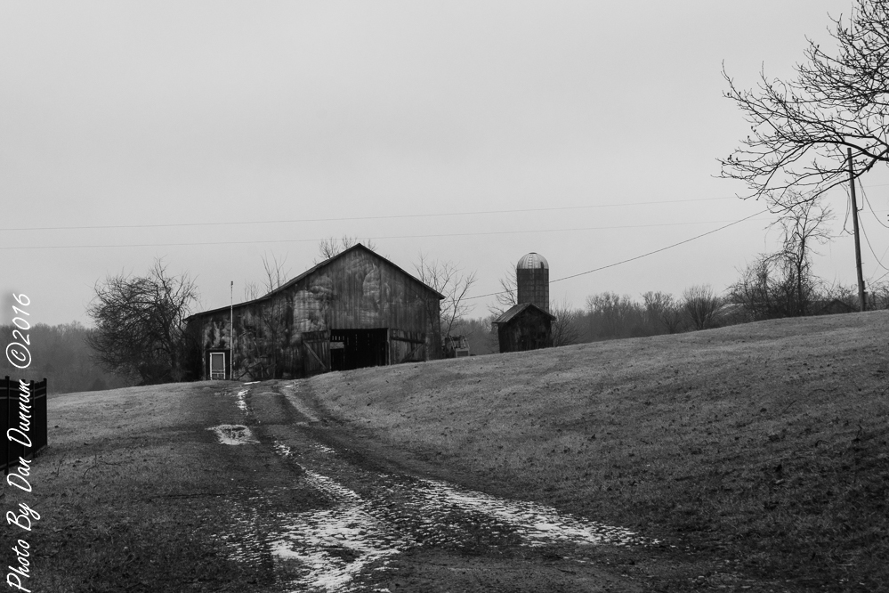Barns and Fog-2513.JPG