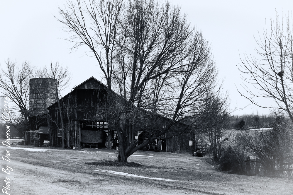 Barns and Gray Skys-1939-Edit.JPG