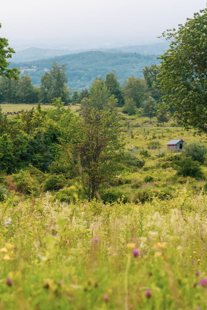 Barret Farm 4-.jpg