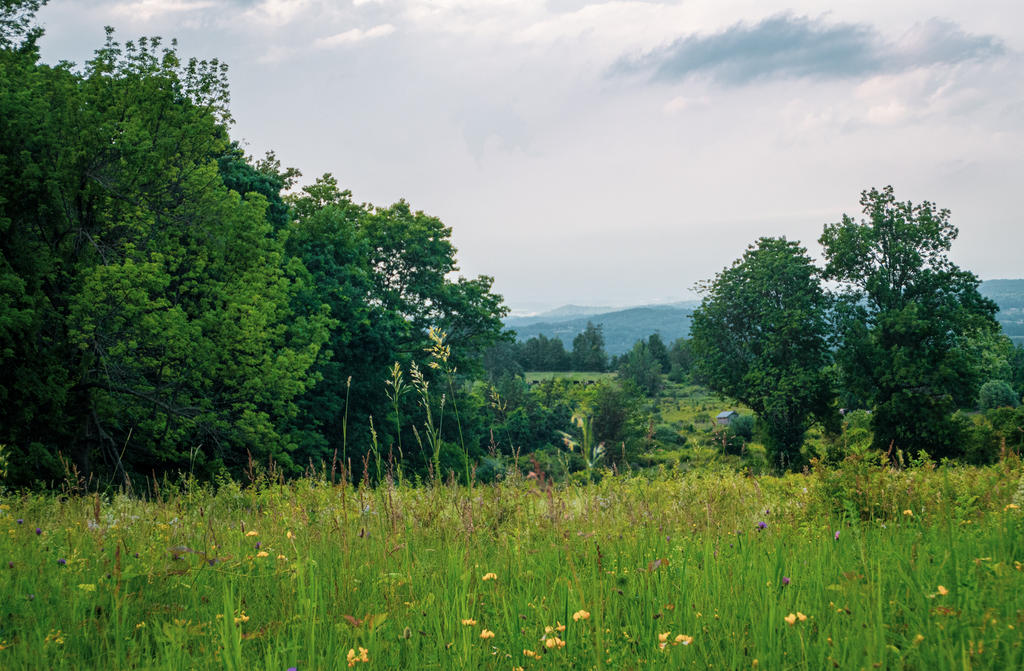 Barret Farm 6-.jpg