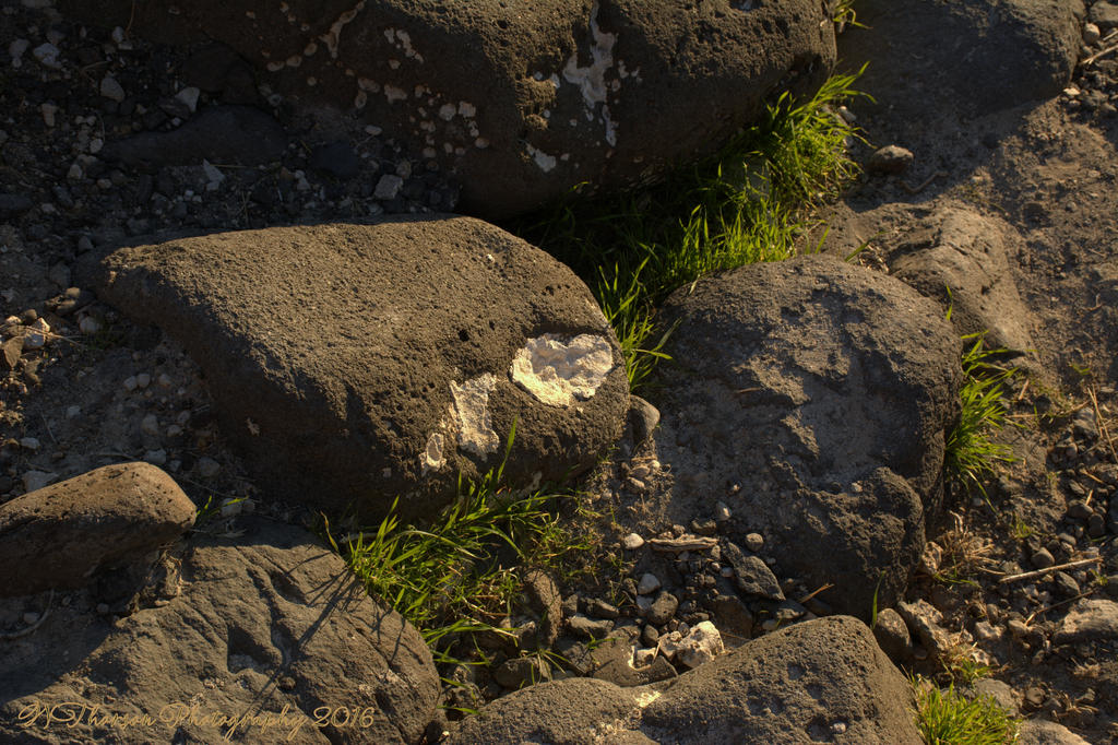 Basalt Heart 11-5-2016.jpg