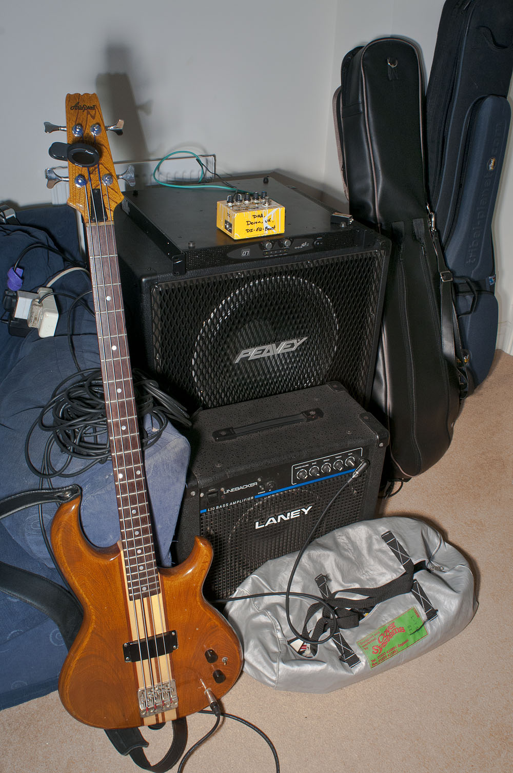 bass rig.jpg
