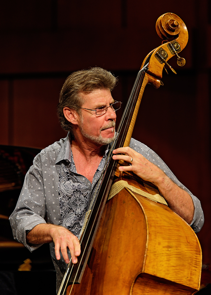Bassist.jpg