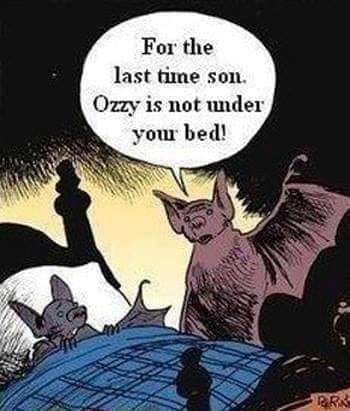 Bat Cartoon.jpg