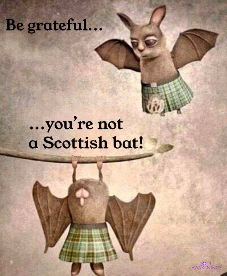 bat.jpg