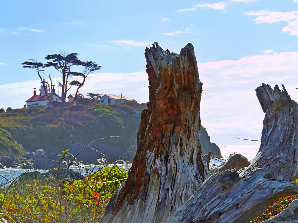 Battery Point CA - Small_00003.jpg