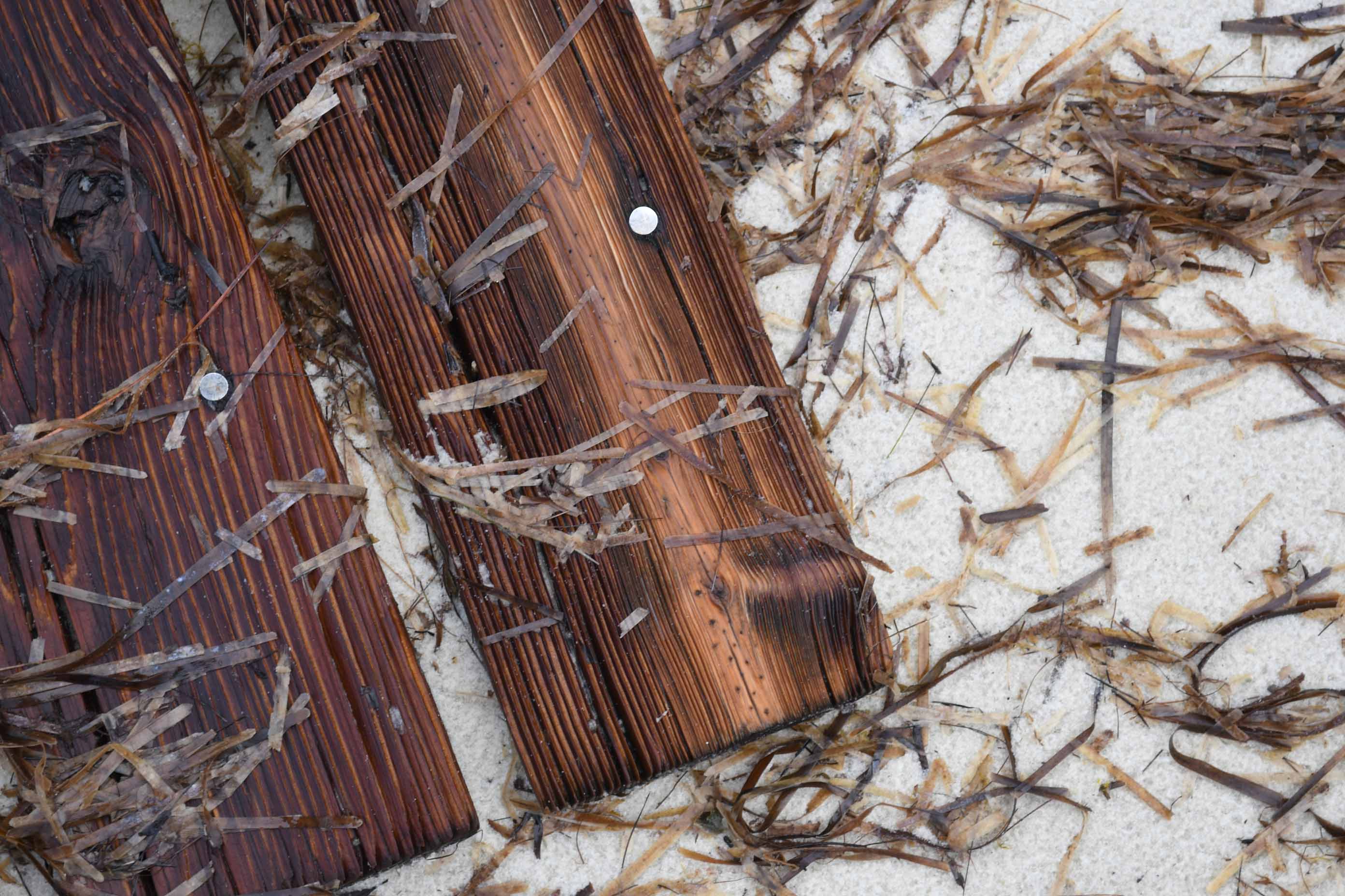 Beach debris #2.jpg