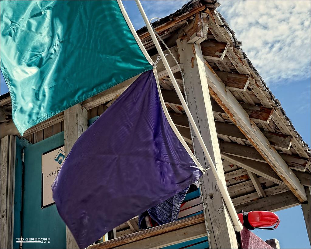 Beach Flags DB 2015.jpg