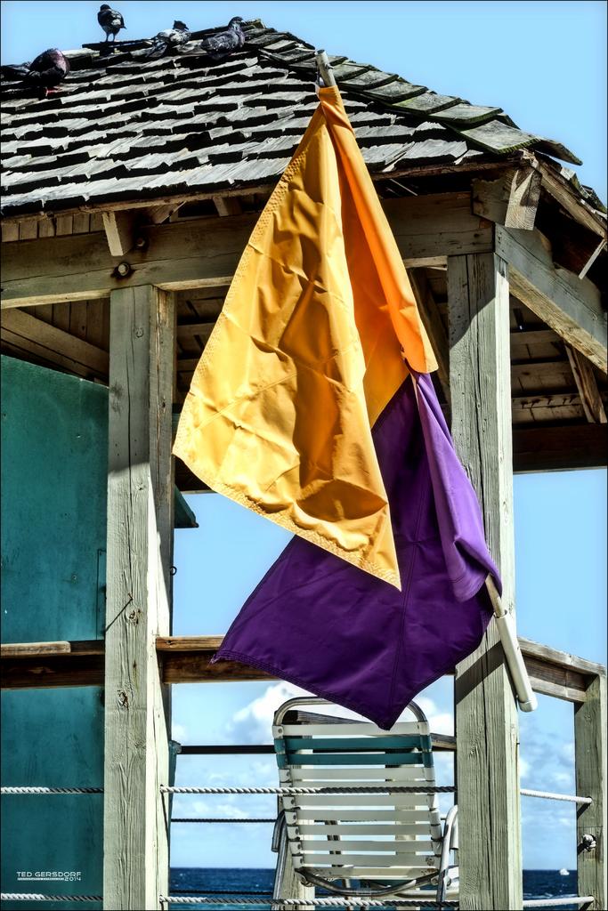 Beach Flags DFB.jpg
