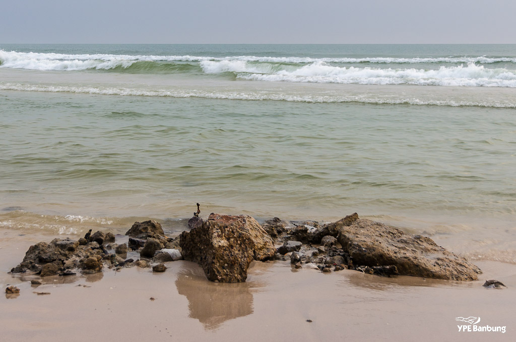 beach1-3.jpg