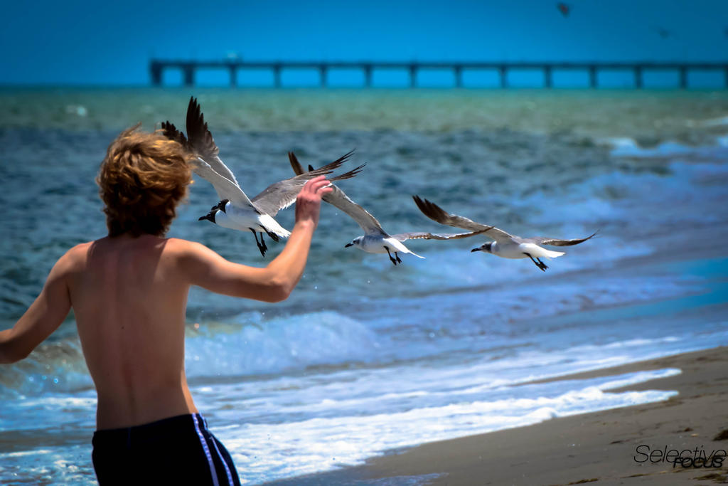 BeachFun2.jpg